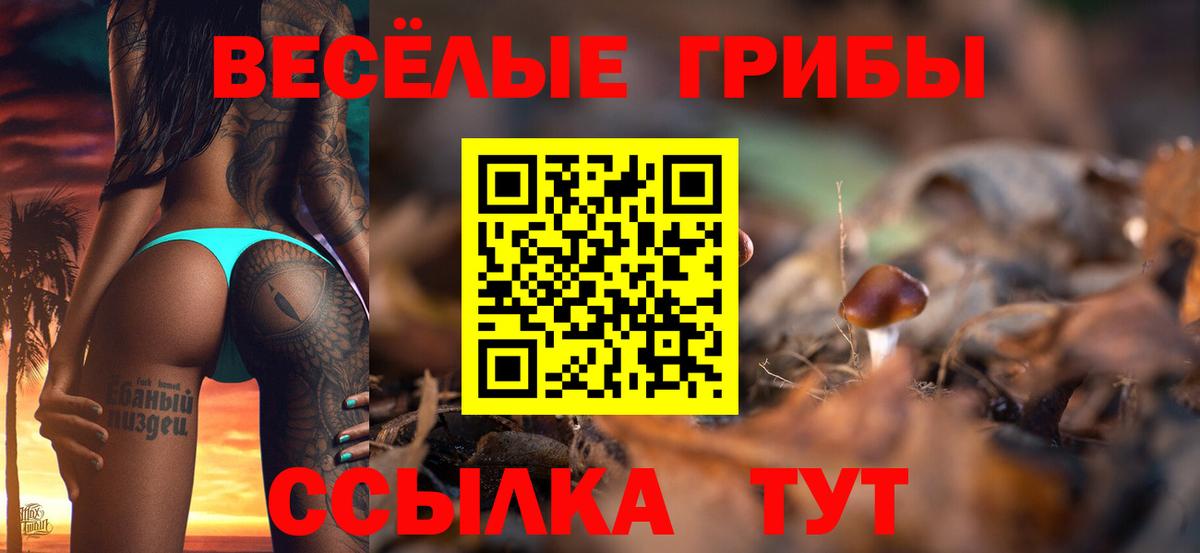 Черкесск  Псилоцибиновые грибы прущие грибы  Вход с VPN  Псилоцибиновые грибы Psilocybine cubensis 